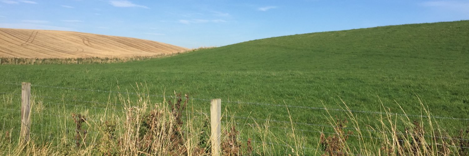 Emi Tanaka @emitanaka@fosstodon.org banner