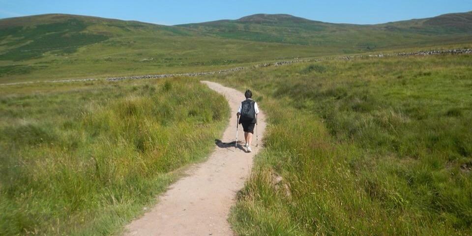 Annette Udall banner