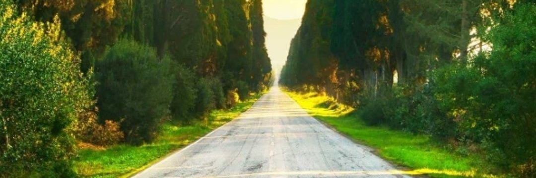 eslamhafez41's profile banner image