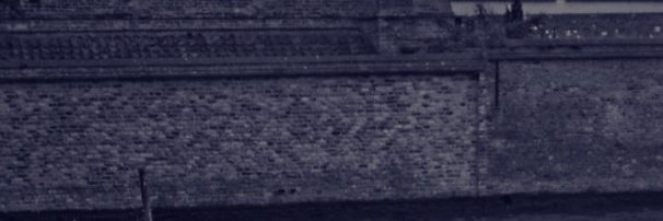 rubunchindoke's profile banner image