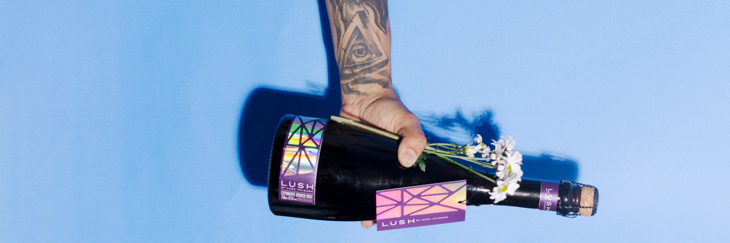 LushMotel's profile banner image
