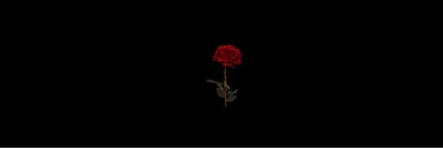dimitriigdr's profile banner image