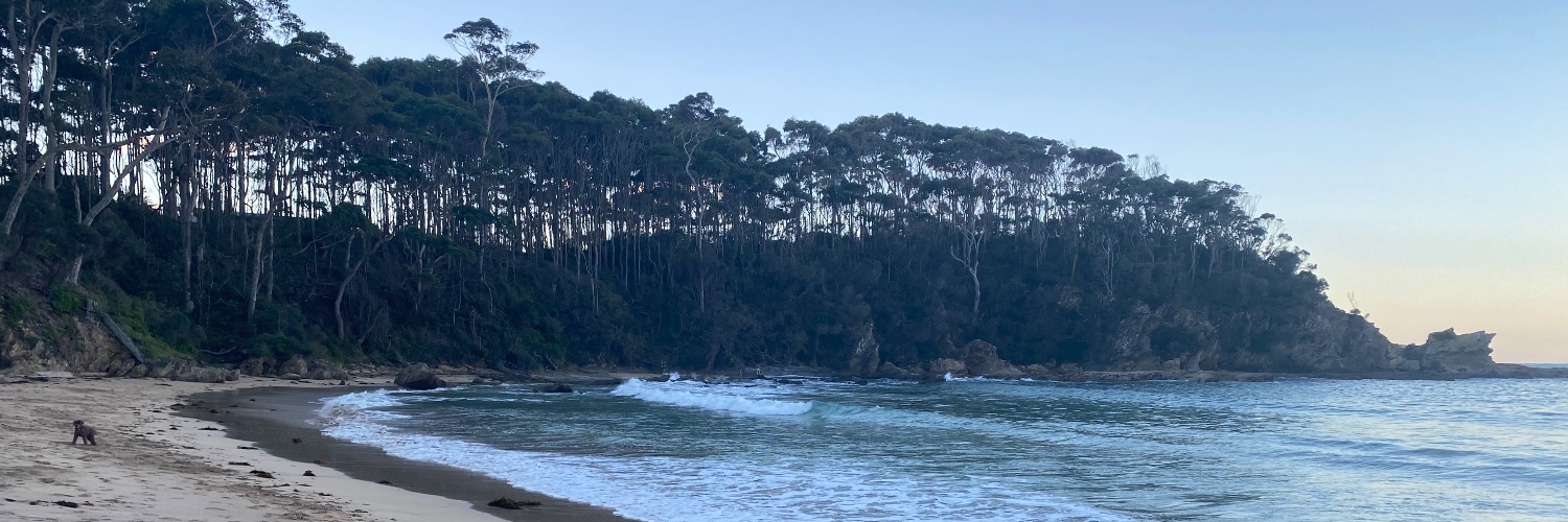 Julian Thomas banner