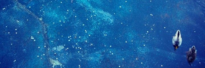 afeljix's profile banner image