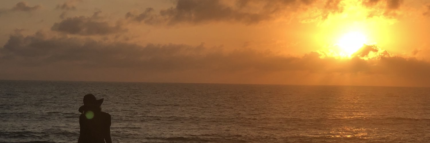 ElewaNinz's profile banner image