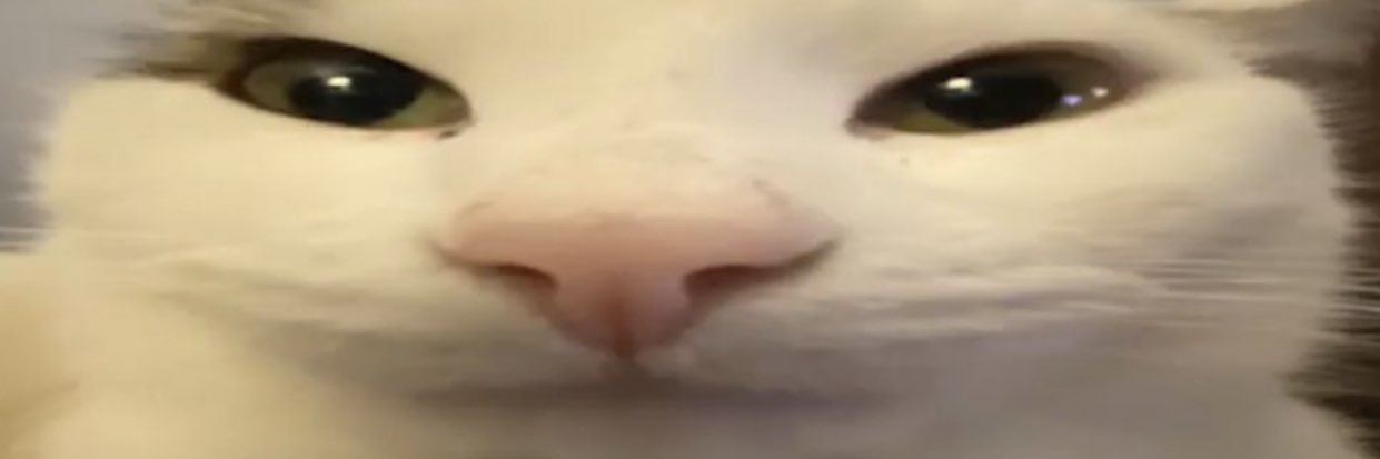 katytaylorrrr's profile banner image