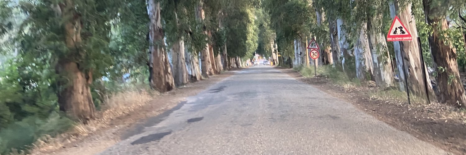 önder topal banner