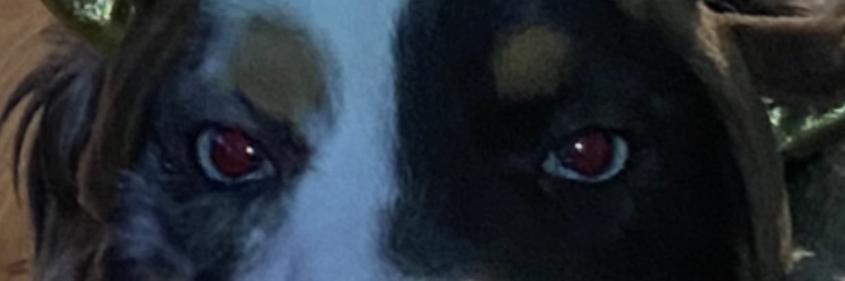 CalebAbalos's profile banner image