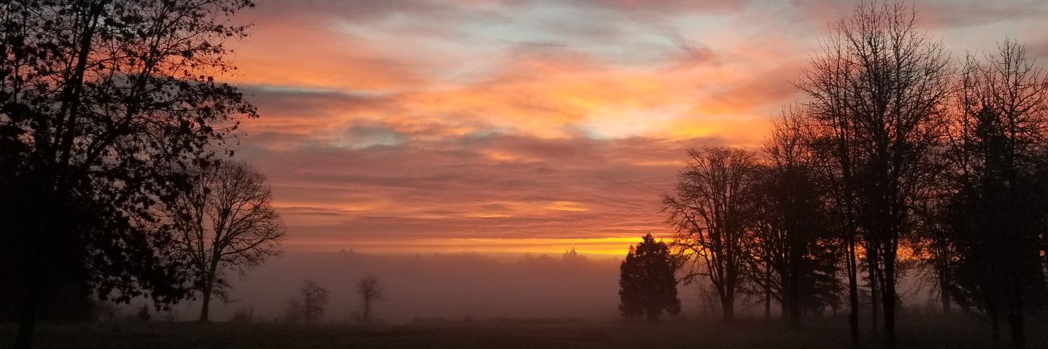 MNHarrison5's profile banner image