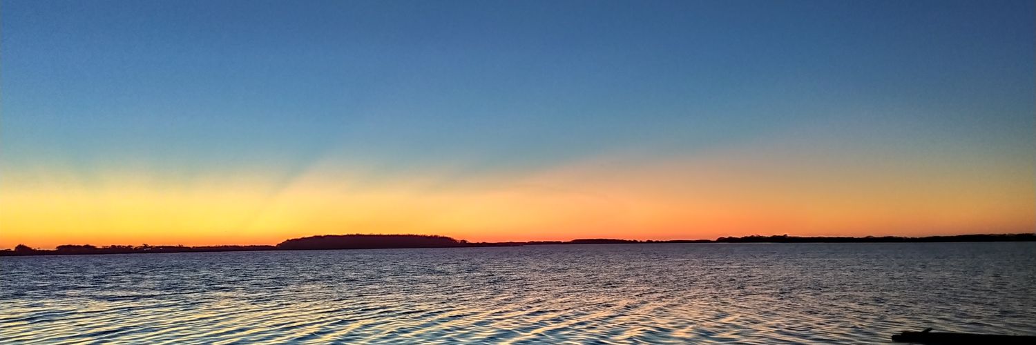 federicodelillo's profile banner image