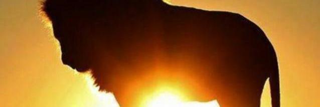 pholloway007's profile banner image