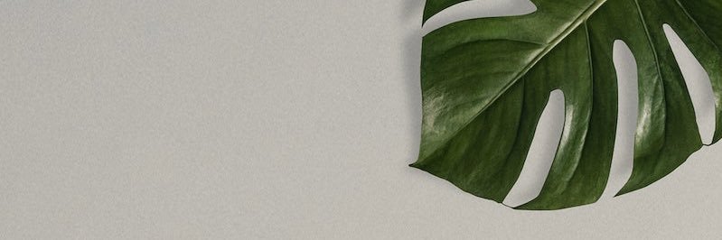 SknnieMinnie's profile banner image