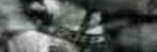 #1 fooler💬🗯 banner