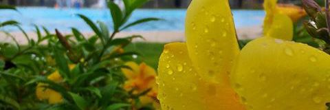 YustizF's profile banner image
