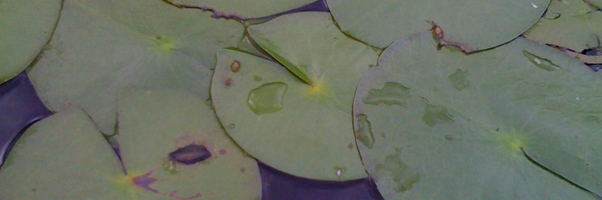 doctormarni's profile banner image