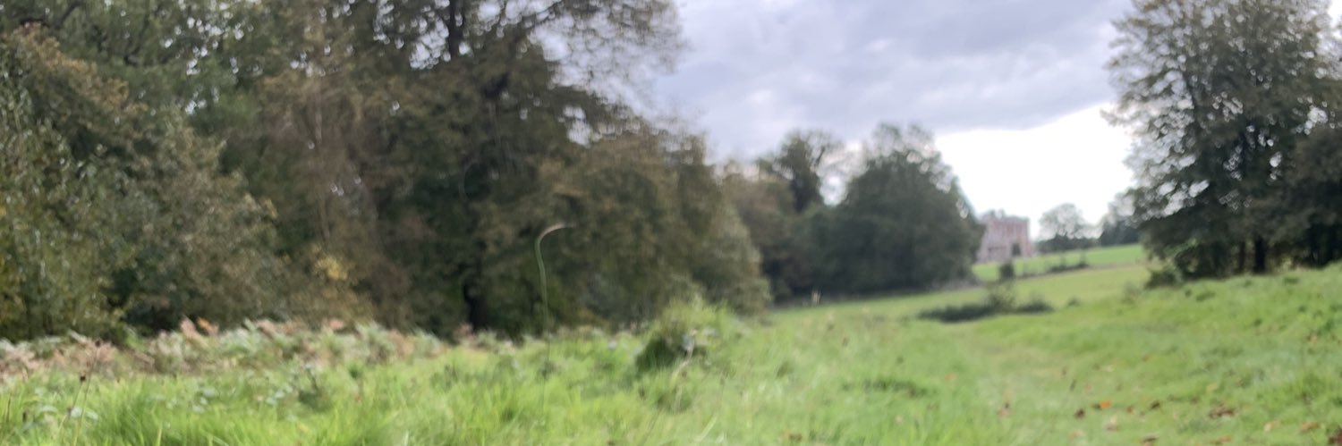 kimbridge1's profile banner image