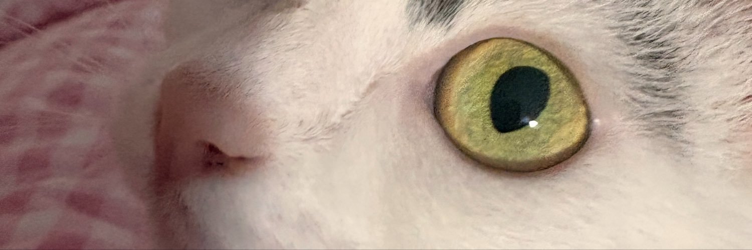 noonespeace's profile banner image