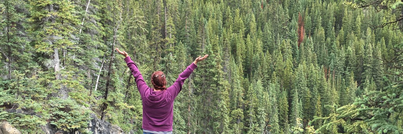 MessyLemons's profile banner image