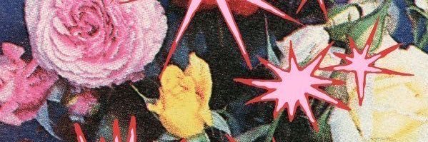 stoubrisada's profile banner image