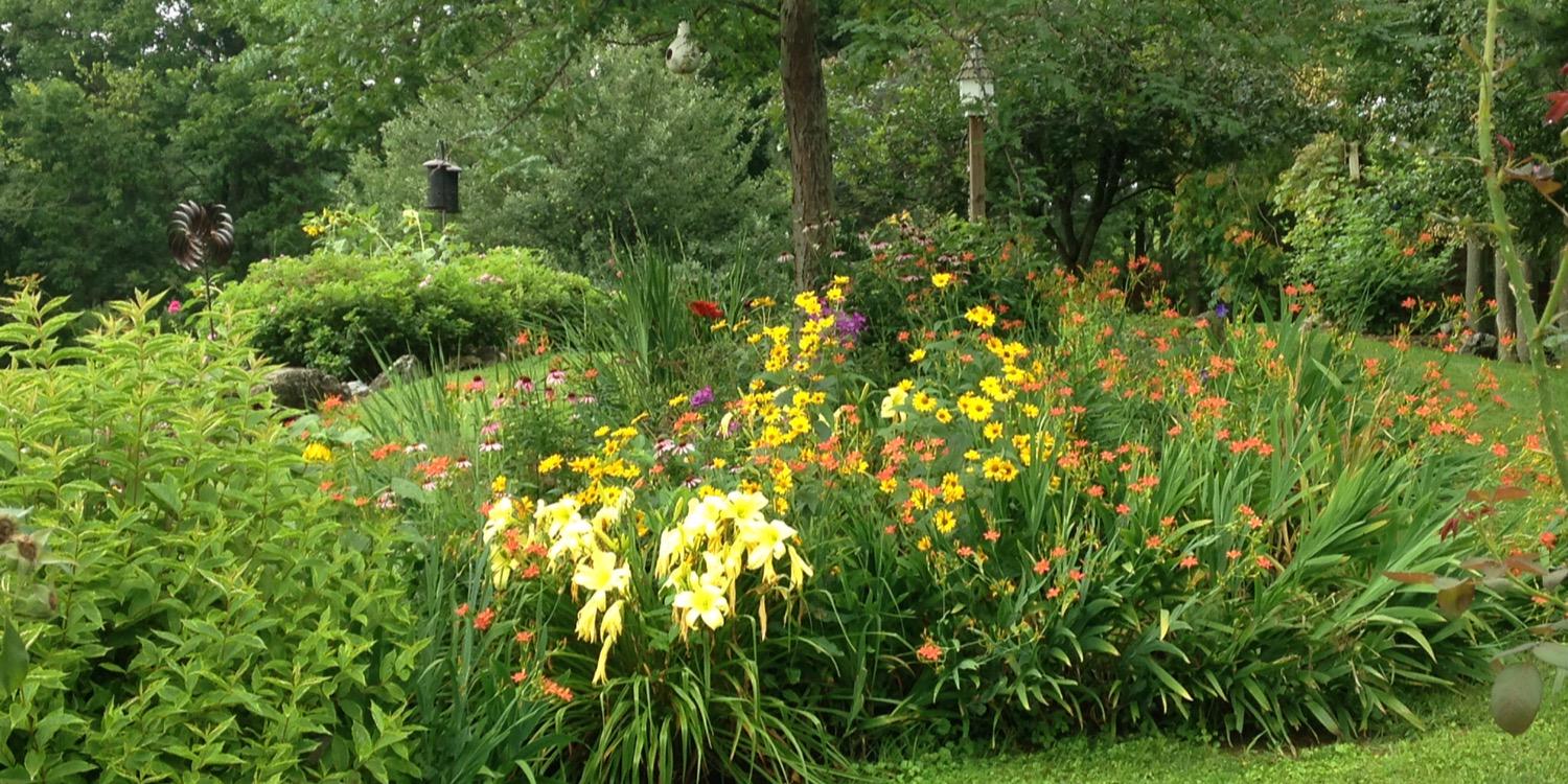 James Jon Holland banner