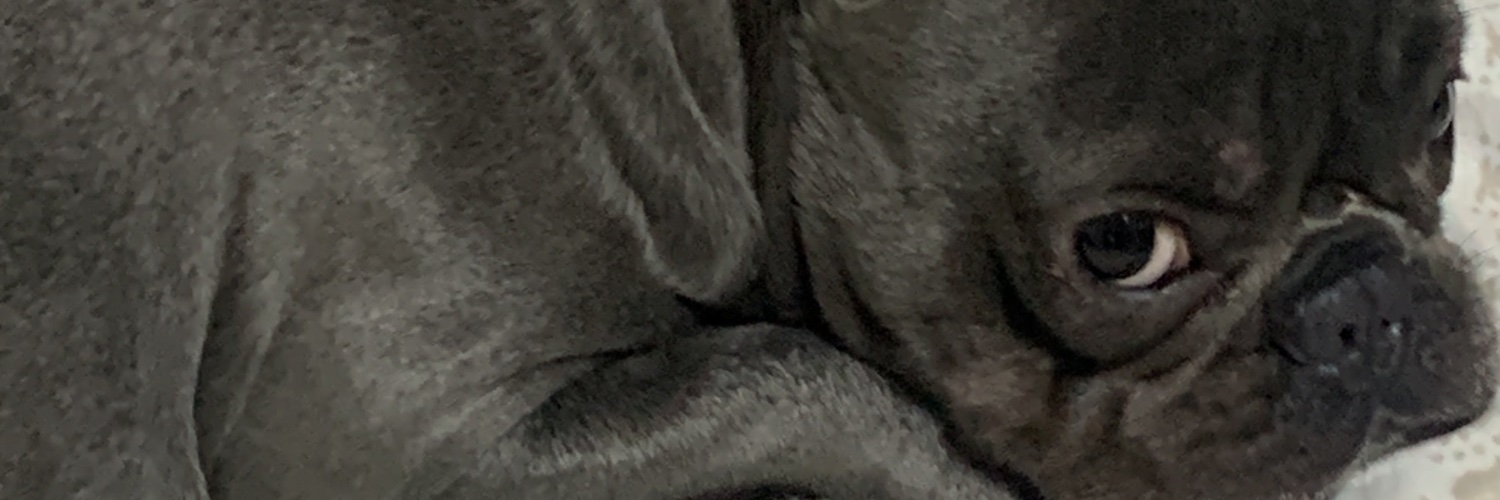 annapr_'s profile banner image