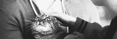 CoryRittner's profile banner image
