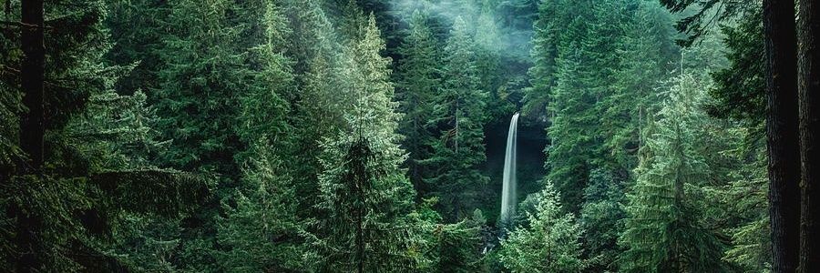 dr_osmandag's profile banner image