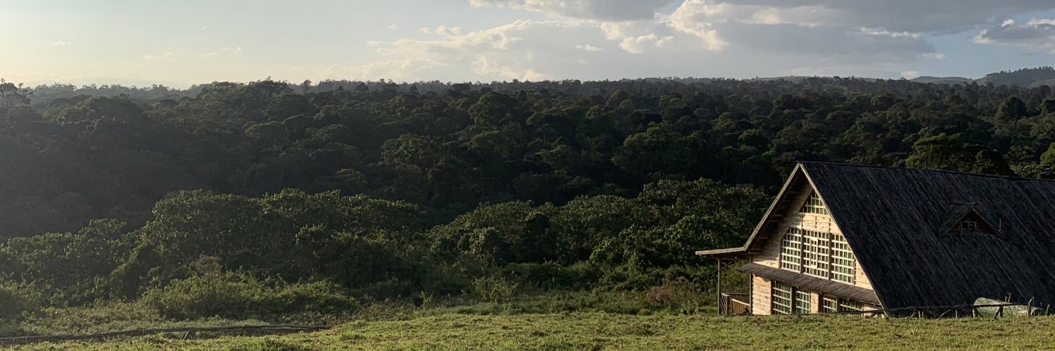 SafinaSacho's profile banner image