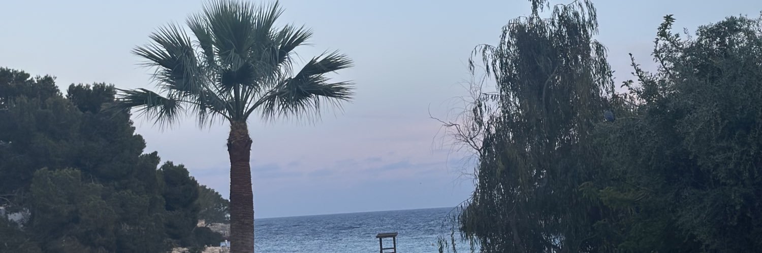l__scal_'s profile banner image