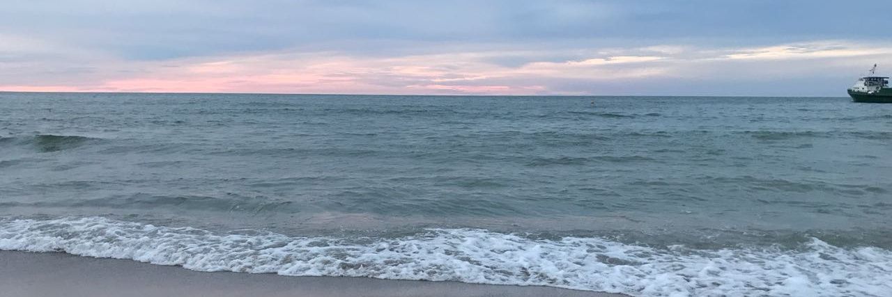 AlexaMarenco's profile banner image
