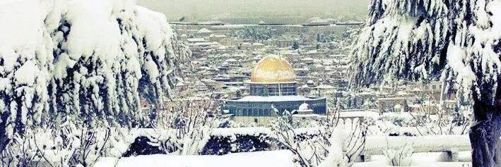 MuAbdelaziz's profile banner image