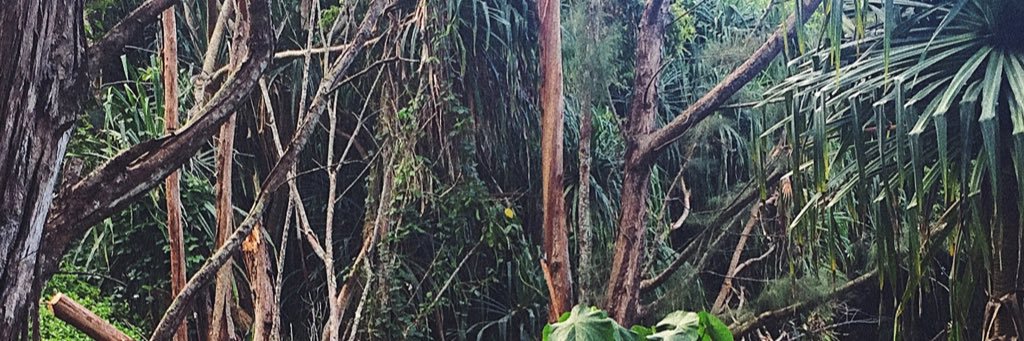 madisoho's profile banner image
