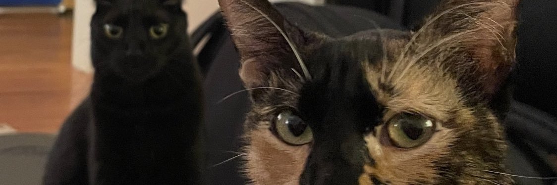 MungusGoon's profile banner image