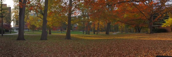 amitachudgar Profile Banner