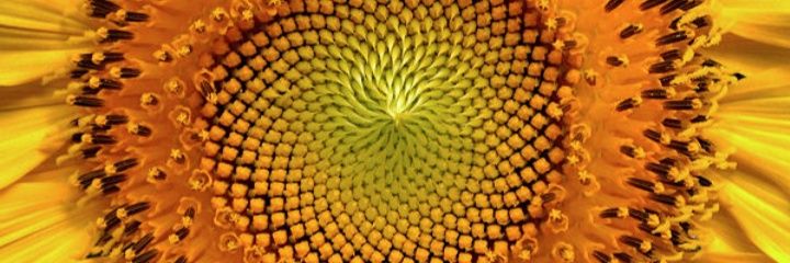 adricasmor's profile banner image