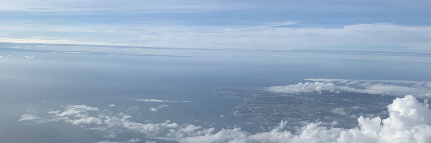 Anatoly Ressin banner