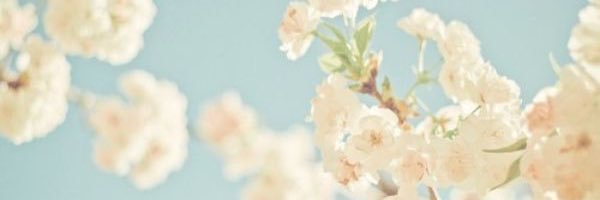 Sar0Donne11's profile banner image