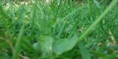 Ruberen's profile banner image