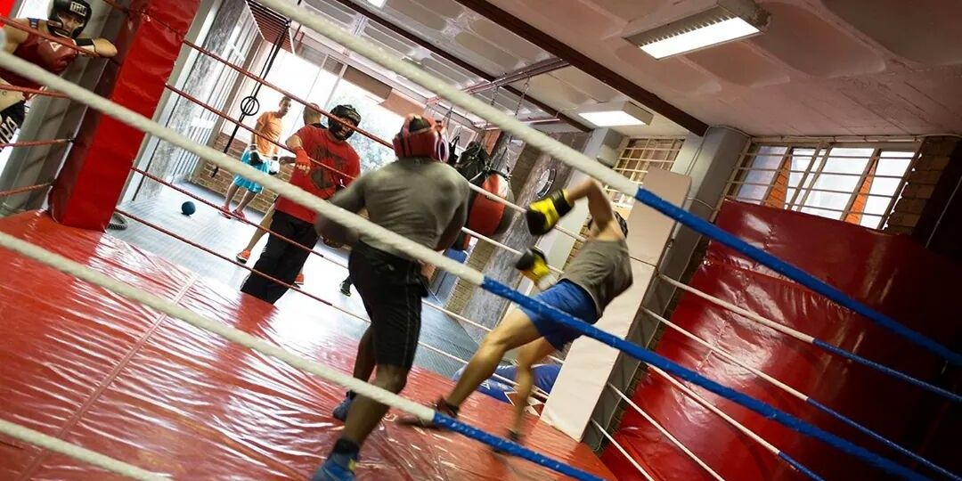 IzoForceMMA's profile banner image