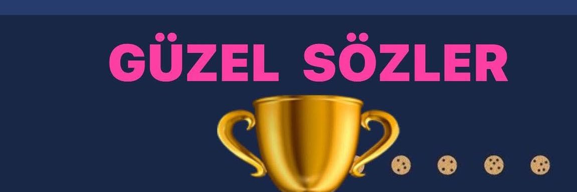 aysem_2017's profile banner image
