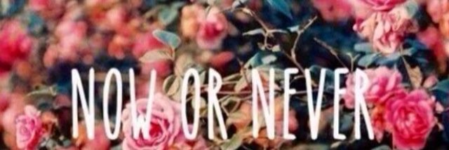 NormaJeanOR's profile banner image
