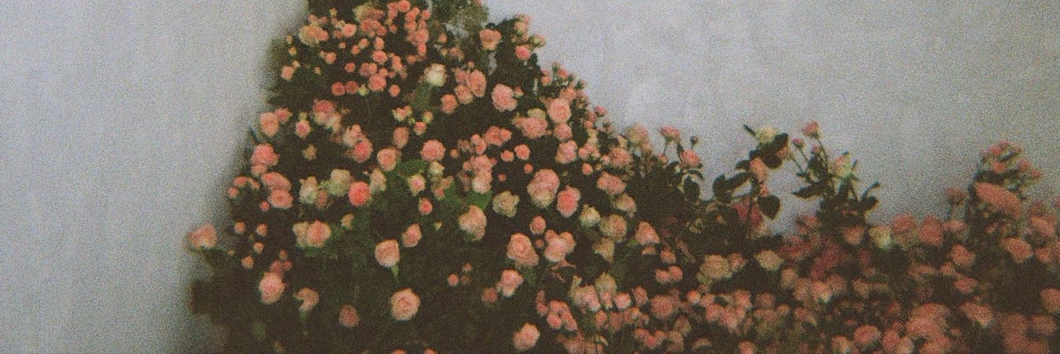 ayaucoco's profile banner image