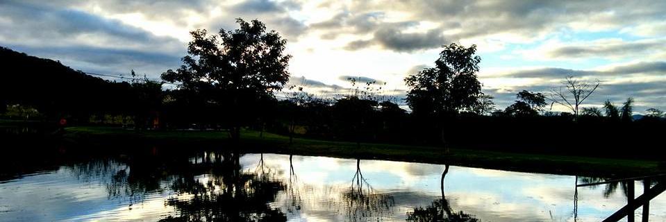 caolin_melo's profile banner image