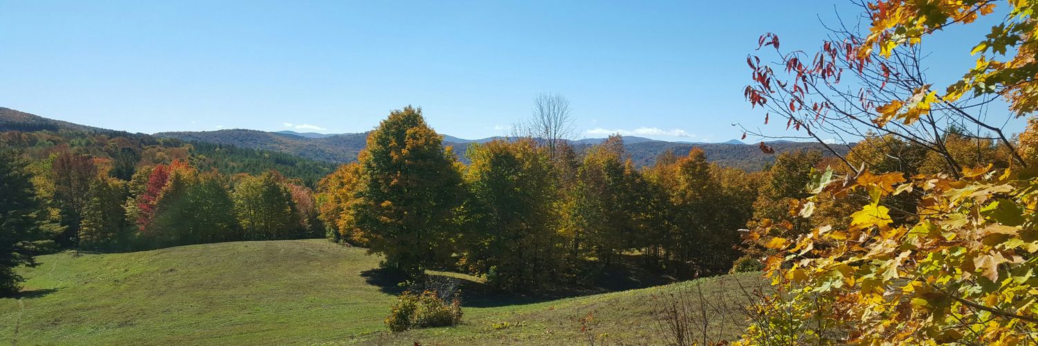 Benji Leavitt banner