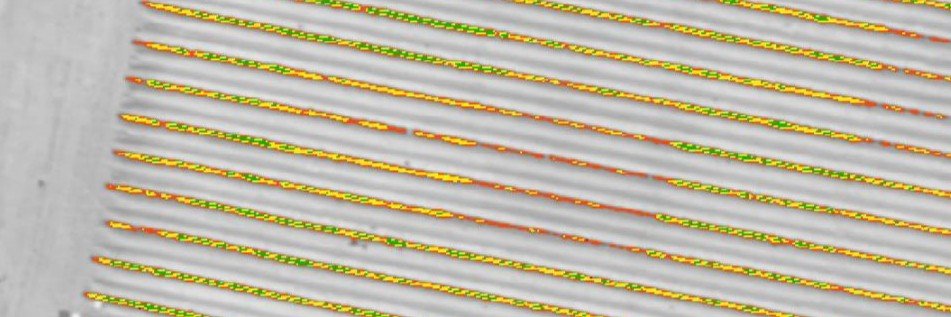 Dr Claire Welsh banner