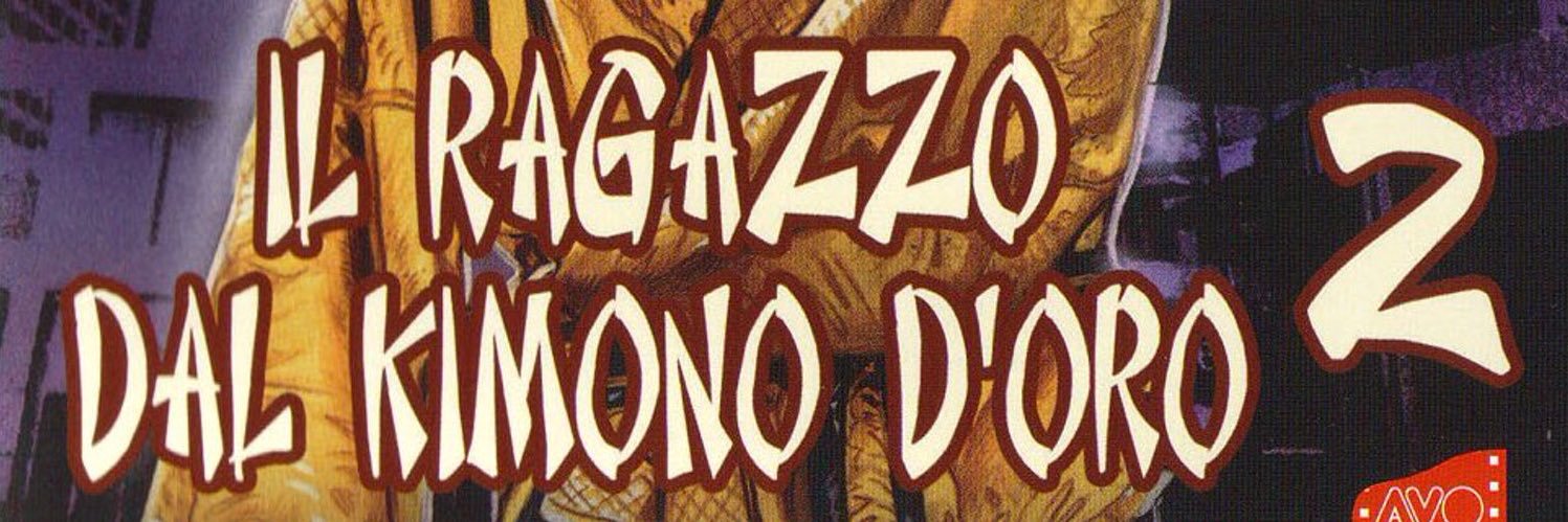 Karate Warrior II banner