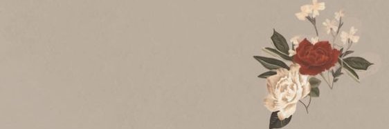 ChaosLittleMess's profile banner image