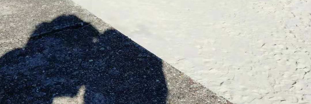 Adam Fish Rybicki banner