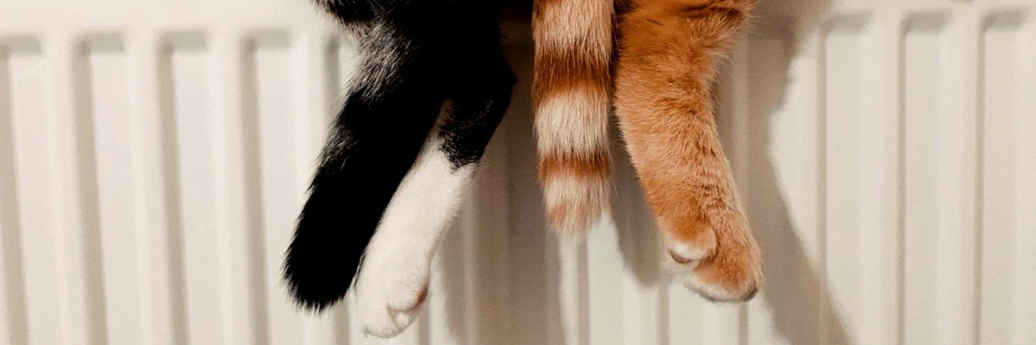 nrshkby's profile banner image