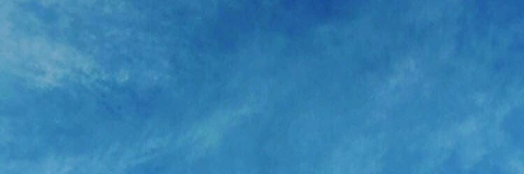 annaaholman's profile banner image